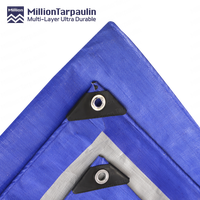Bâche Légère en Polyéthylène Argenté Bleu pour Abri de Voiture Extérieur, Tissée, Laminée, Anti-UV, Imperméable, à Usage d'Ombrage