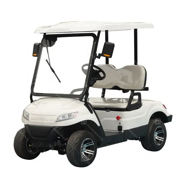 Voiturette de Golf électrique, 4 roues, 2 places, avec compteur professionnel, haute qualité, à vendre, nouvelle collection 2023