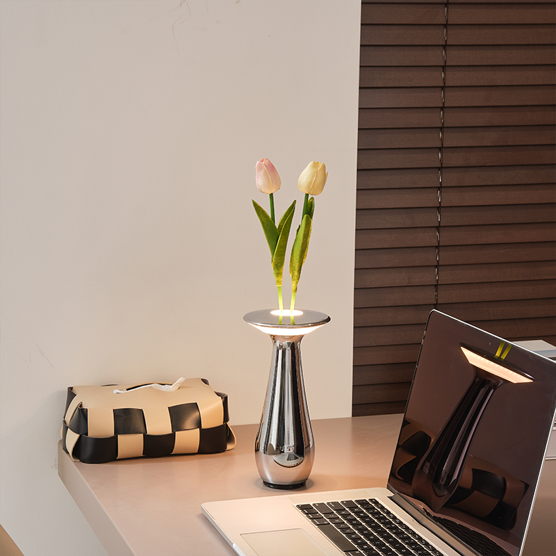 Argenture par électrolyse