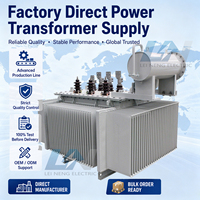 Transformateur d'extérieur fiable Leineng 100 kVA 11 kV à trois phases, bobinage en cuivre anticorrosion pour le programme d'électrification côtière du Gabon