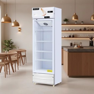 <span class=keywords><strong>Congélateur</strong></span> Commercial à Boissons et Bières à Affichage Numérique, Refroidissement par Air, Sans Givre, Vente Directe Usine, Prix Compétitifs, Couleurs Variées - Product Image 1