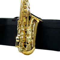 Cost-Effective Aiersi Brand Professional Golden Eb Alto Saxophone with case Hot Sale Woodwind Musical Instruments