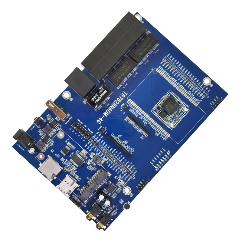 Placa DE DESARROLLO + módulo