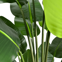 Réaliste 210cm Artificielle Voyageur Banane Faux Bonsaï Arbre Artificiel pour Maison Bureau Décoration Intérieure