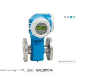 Medidor de Flujo Electromagnético Personalizable E+H Proline Promag P 300, Modelo 5P3B - Product Image 3