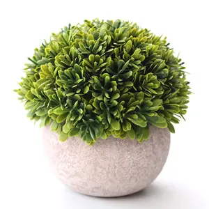 Customizable plastic evergreen eucalyptus seed tree indoor artificial plants mini potted artificial eucalyptus