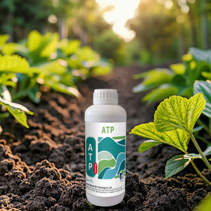 Fertilizante <span class=keywords><strong>Foliar</strong></span> de Aminoácidos Orgánicos Solubles en Agua, Completamente Funcional, Regulador Biológico para Vegetales y Árboles Frutales - Product Image 5