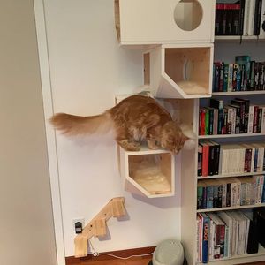 Nouvelle Villa Murale Moderne en Bois pour Animaux de Compagnie 2025, Solide et Élégante, avec Fermeture à Bouton – Solution Gain de Place pour Chiens et Chats - Product Image 5