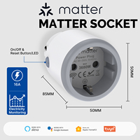 Prise intelligente WiFi SLS Matter Protocol 16A avec moniteur d'énergie, compatible Tuya, Alexa, Google Home, Apple Homekit, en plastique