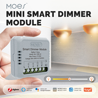 Produits pour la maison intelligente : Module d'interrupteur intelligent mini 1/2 Gang DIY Life Light Dimmer Life Tuya WiFi ZigBee