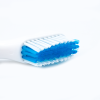 Offre Spéciale brosse à dents de prothèse dentaire colorée à double tête à poils durs avec poignée en PP pour un usage domestique