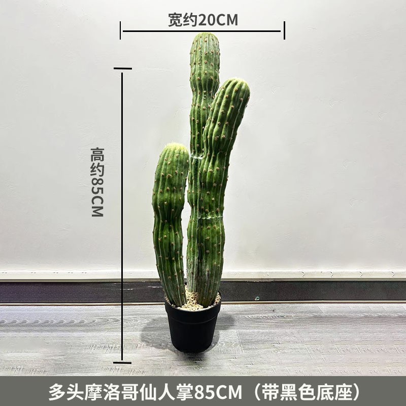 Cactus marocain à plusieurs têtes, 85 cm (livré avec socle noir)