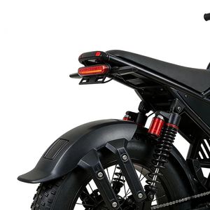 Factory Custom 800W Lithium Fat Tire <b>Electric</b> Bicycle Dual Suspension Waterproof Bulk Order Discount With Battery - Product Image 4