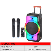 Grands haut-parleurs BT professionnels Système de haut-parleurs de sonorisation portable avec tweeter de 12 "et lumière de fête
