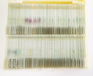 100 pezzi di alta qualità Set di diapositive preparati per parassitologia medica di preparazione biologica biofarmaceutica diapositive risorse didattiche - Product Image 3