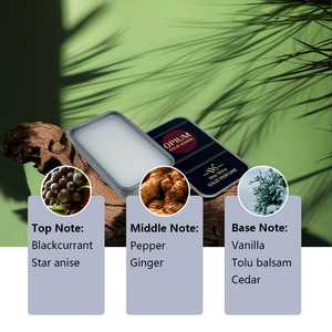 Cao cấp xách tay nước hoa rắn Balm cho nam giới hương thơm tươi với ứng dụng mịn màng và hương thơm thanh lịch - Product Image 6