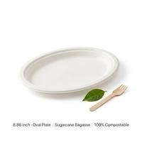 Assiettes rondes écologiques en bagasse, vaisselle jetable robuste idéale pour toutes les entreprises de restauration.