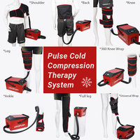 CRYOPUSH, fournisseur chinois de premier plan, équipement de cryothérapie, compression à froid, récupération sportive, post-chirurgie, genou, physiothérapie