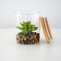 Plantes succulentes artificielles de 11 cm avec vase en verre transparent pour la décoration moderne de la maison, du bureau et des fêtes de mariage