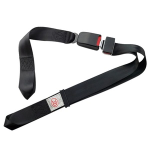 Electric vehicle tricycle, child seat belt, wheelchair seat belt, stretcher model, no screws, no seat belt installation - Product Image 6