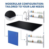 Mesa de Laboratorio Personalizada - Banco de Laboratorio Moderno de Acero y Madera con Superficie Fenólica, 2 Cajones, Resistente a Químicos, con Fregadero Superior