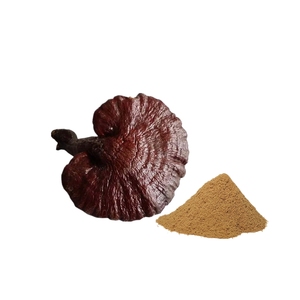 ผงสกัดเห็ดหลินจือ โกดีเอ็กซ์ ผู้ผลิต 10% เบต้า ดี กลูแคน เกรดอาหาร - Product Image 1