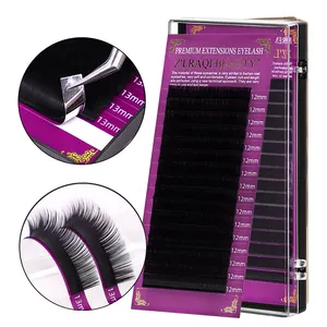 Lasting Soft Whispy Natural Lightweight Easy To Apply D Curl Lash Extention Trays Vendor 0.15 Silk Individual Eyelash Extension