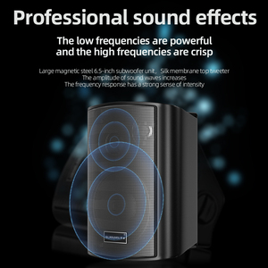 <b>Smart</b> <b>Home</b> Background Music System Wall Mount Speaker Set Input for V5.2 Display Screen Memory Card Support Wireless Connectivit - Product Image 4