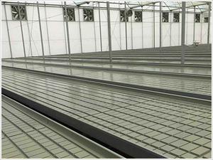 <span class=keywords><strong>Table</strong></span> de culture hydroponique à flux et reflux commercial, lit de semis à flux et reflux, irrigation à flux et reflux, banc roulant à flux et reflux pour serre - Product Image 5