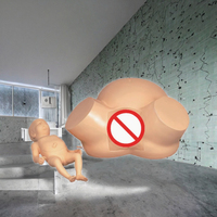 Modelo de Entrenamiento Anatómico Quirúrgico Científico para Obstetricia y Parto, Simulador de Trabajo de Parto para Enseñanza de Ciencias Médicas, Haryana, India