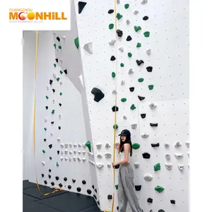 Equipamento de diversões para paredes de escalada indoor Paredes de escalada Paredes de esgrima