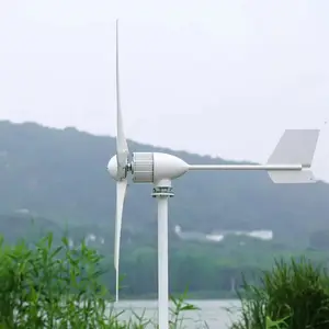 Sistema di generazione ibrida di energia eolica in fase di consegna rapida in fase 3 sistema di alimentazione ibrida solare da 10Kw