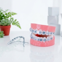 Protège-lèvres orthodontique confortable en plastique pour appareils dentaires, protège-dents, bouclier dentaire, alternative à la cire dentaire