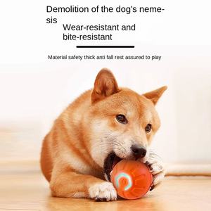 Akıllı atlama topu köpek oyuncak çevre dostu silikon Bite dayanıklı <span class=keywords><strong>Pet</strong></span> malzemeleri - Product Image 2