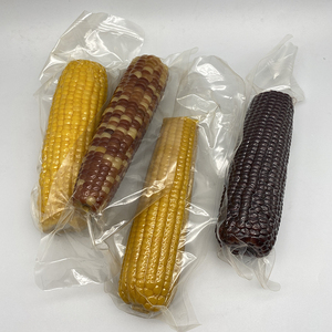 Sacchetto del sacchetto della storta d'imballaggio della pannocchia di mais dolce in scatola di nylon flessibile durevole ad alta barriera - Product Image 1