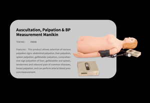 Maniquí Simulador Multifuncional para Auscultación, Palpación y Medición de Presión Arterial, para Enfermería, Ciencias Médicas - Product Image 2