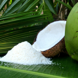 Poudre de noix de coco déshydratée de qualité supérieure |   Goût naturellement sucré |   Utilisation en boulangerie et en cuisine / COCO DESICCÉ FIN / DE GRADE MOYEN - LIAM - Product Image 1