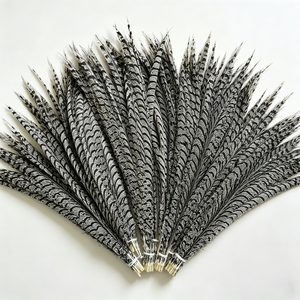 Plumas de cola de faisán Reeves de primera calidad - Perfectas para la fabricación de sombreros, manualidades de atrapasueños y accesorios de disfraces de teatro - Product Image 5