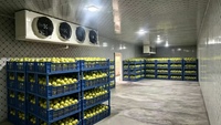 Chambre froide complète avec équipement frigorifique pour le stockage du poulet et de la viande