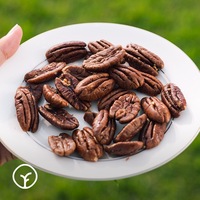 Nueces de Pecán Blanqueadas Importadas de Zhejiang, Marca Distant Dream, Tamaño King, Sin Azúcar Granulada, Aperitivo No Irritante para Mujeres Embarazadas