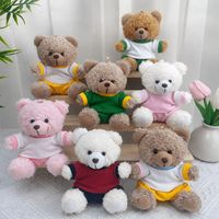 Songshan Toys Ensemble de t-shirts de sport avec logo personnalisé, porte-clés animaux, pendentif de sac poupée pour machine à griffes, jouet en peluche ours en peluche, cadeau