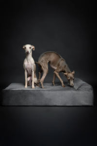 OEM ODM Luxe Orthopedische Memory Foam Hondenbedden Op Maat Hondenbed Afneembare Wasbare Waterdichte Hoes - Product Image 4