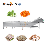 Túnel de Escaldado Continuo Automático para Albóndigas, Tomate y Pollo, Máquina de Escaldado con Motor de Acero Inoxidable 304