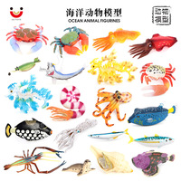 Modèles de vie marine en PVC solide, figurines en plastique d'animaux marins, jouets