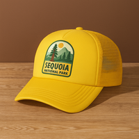 Gorra de camionero de Béisbol Juvenil personalizada de alta calidad, malla para niños, niñas, adultos, serigrafiada, ciclismo al aire libre