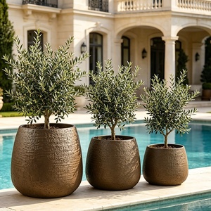 Pots <span class=keywords><strong>de</strong></span> plantes en ciment <span class=keywords><strong>de</strong></span> style classique européen, <span class=keywords><strong>pour</strong></span> l'extérieur/l'intérieur, durables, ronds, écologiques, <span class=keywords><strong>grand</strong></span> <span class=keywords><strong>pot</strong></span> à <span class=keywords><strong>olivier</strong></span> <span class=keywords><strong>pour</strong></span> le jardin - Product Image 2