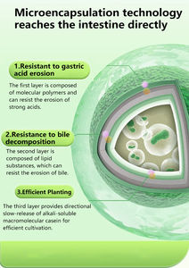 पालतू प्रोबायोटिक पाउडर पालतू जानवरों में दस्त और ढीले मल सुधार करता है - Product Image 6