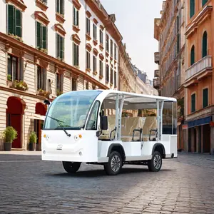 Ce Goedgekeurd 8 Stoelen Elektrische Mini Sightseeing Bus 6V * 8Pcs Lithium Batterij Multifunctionele Elektrische Shuttle Toeristische Bus