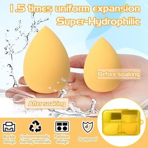 Foundation Brush and Makeup Sponge Set Wet and Dry Mushroom Head Beauty Sponge Egg with Storage <b>Box</b> - Product Image 4