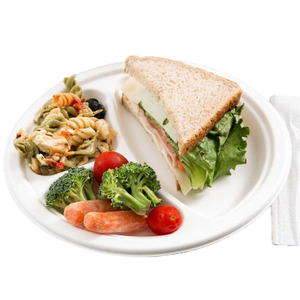 Có thể phân hủy 10 inch <span class=keywords><strong>3</strong></span> ngăn giấy bên tấm trắng dùng một lần đồ ăn tấm ăn trưa Tấm bánh pizza bánh mì bã mía tấm - Product Image 2